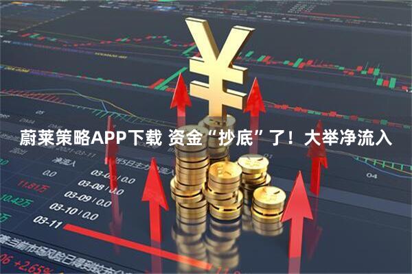蔚莱策略APP下载 资金“抄底”了！大举净流入