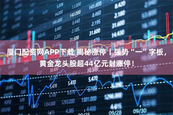 厦门配资网APP下载 揭秘涨停丨强势“一”字板，黄金龙头股超44亿元封涨停！